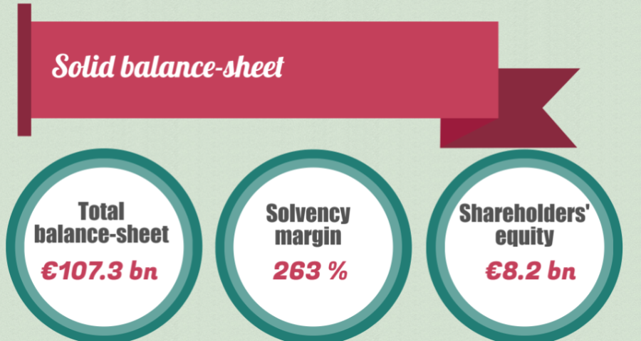 resultats 2015_bilan solide_EN