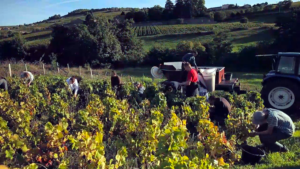 2016-06-06 Ensemble Rapport annuel 2015 900x506