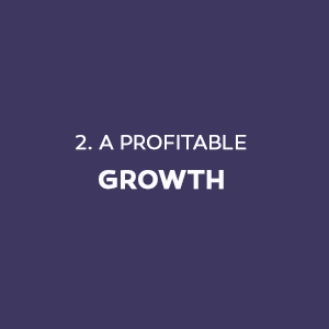 2-profitable-growth-300×300